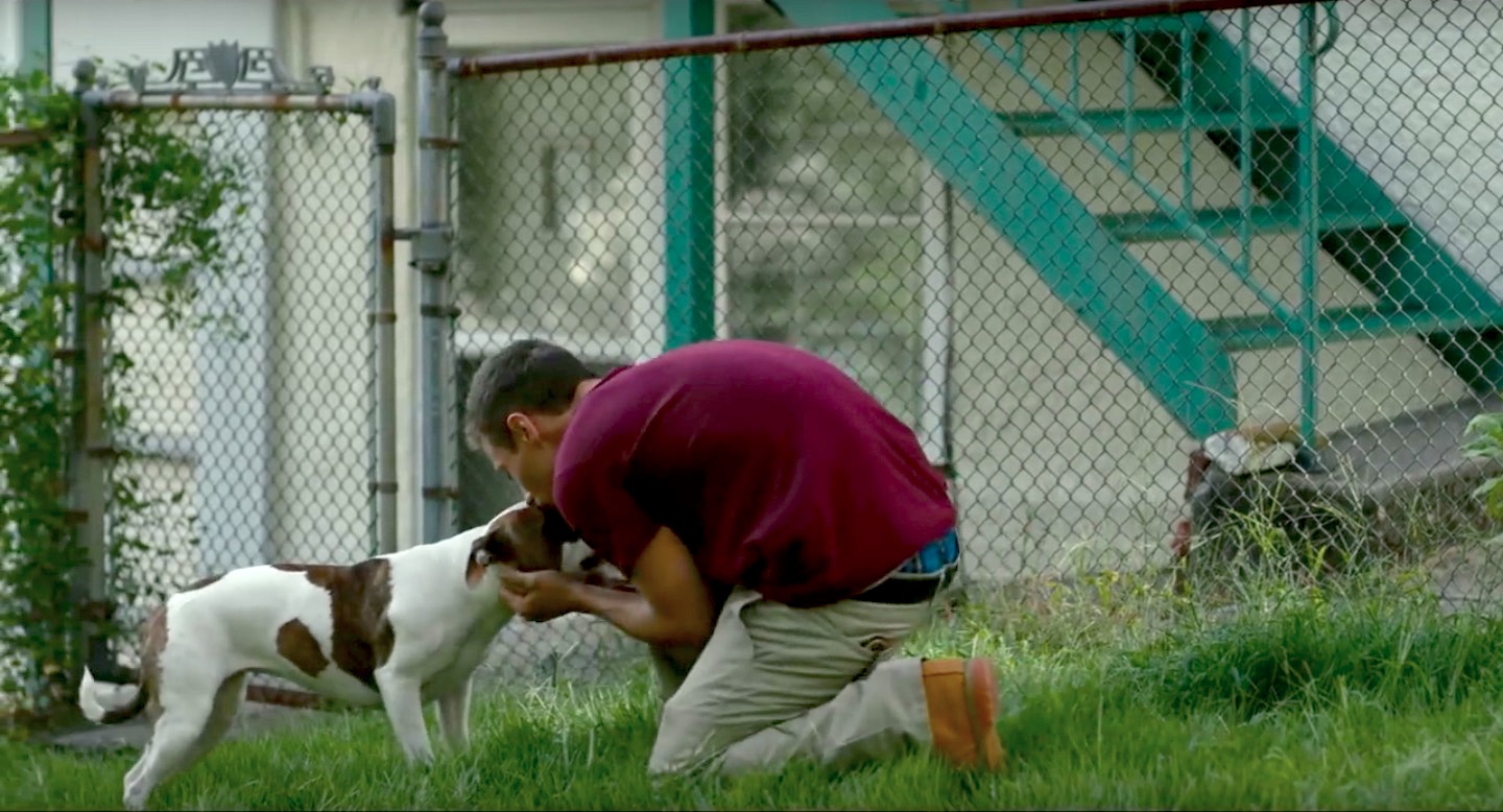 Keith (McCaul Lombardi) hugs his dog Scout in Matthew Porterfield's movie Sollers Point