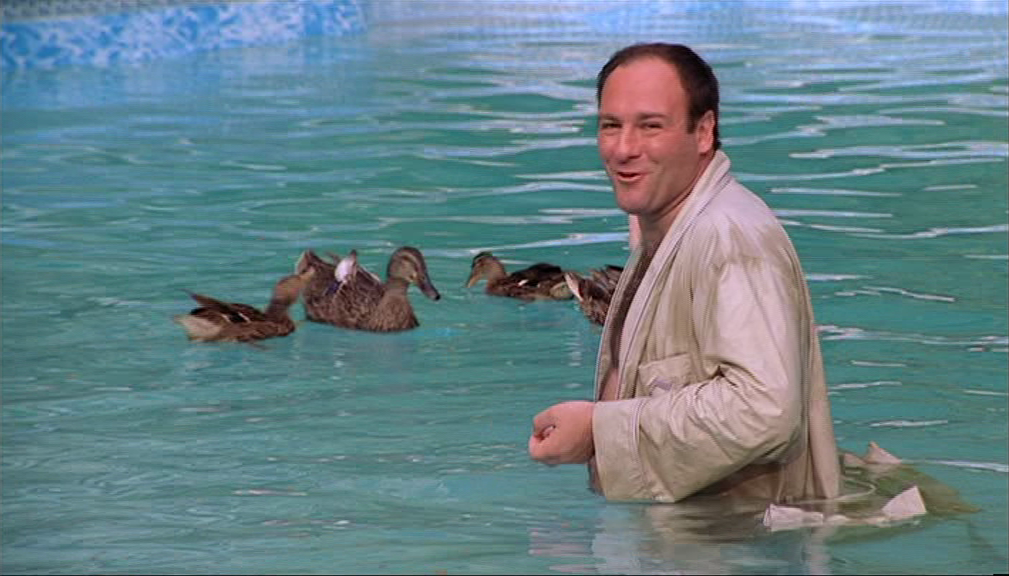 Tony Soprano (originally "Tommy Soprano" in the pilot script, and played by James Gandolfini) feeds a family of ducks in his backyard pool